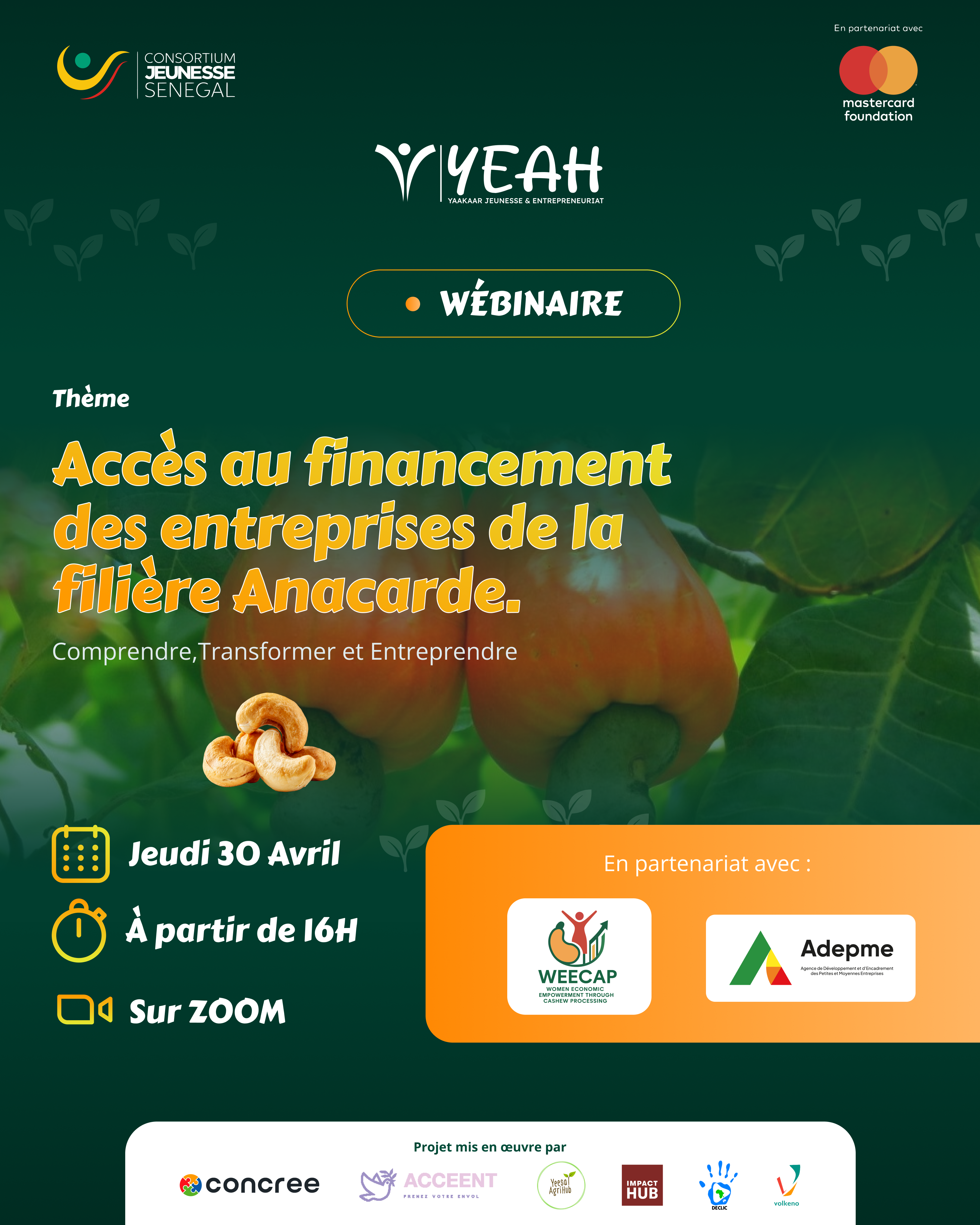 Campagnes webinaires